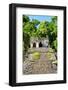 ¡Viva Mexico! Collection - Mayan Ruins in the Forest-Philippe Hugonnard-Framed Photographic Print