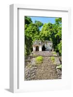 ¡Viva Mexico! Collection - Mayan Ruins in the Forest-Philippe Hugonnard-Framed Photographic Print