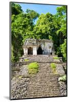 ¡Viva Mexico! Collection - Mayan Ruins in the Forest-Philippe Hugonnard-Mounted Photographic Print