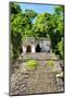 ¡Viva Mexico! Collection - Mayan Ruins in the Forest-Philippe Hugonnard-Mounted Photographic Print