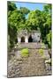 ¡Viva Mexico! Collection - Mayan Ruins in the Forest-Philippe Hugonnard-Mounted Photographic Print