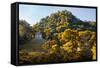 ¡Viva Mexico! Collection - Mayan Ruins with Fall Colors at Sunsrise - Palenque-Philippe Hugonnard-Framed Stretched Canvas