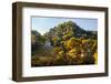 ¡Viva Mexico! Collection - Mayan Ruins with Fall Colors at Sunsrise - Palenque-Philippe Hugonnard-Framed Photographic Print