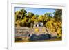 ¡Viva Mexico! Collection - Mayan Ruins with Fall Colors in Palenque-Philippe Hugonnard-Framed Photographic Print