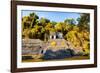 ¡Viva Mexico! Collection - Mayan Ruins with Fall Colors in Palenque-Philippe Hugonnard-Framed Photographic Print