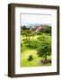 ¡Viva Mexico! Collection - Mayan Temple of Monte Alban II-Philippe Hugonnard-Framed Photographic Print