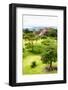 ¡Viva Mexico! Collection - Mayan Temple of Monte Alban II-Philippe Hugonnard-Framed Photographic Print