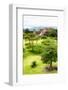 ¡Viva Mexico! Collection - Mayan Temple of Monte Alban II-Philippe Hugonnard-Framed Photographic Print