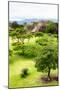 ¡Viva Mexico! Collection - Mayan Temple of Monte Alban II-Philippe Hugonnard-Mounted Photographic Print