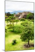 ¡Viva Mexico! Collection - Mayan Temple of Monte Alban II-Philippe Hugonnard-Mounted Photographic Print