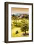 ¡Viva Mexico! Collection - Mayan Temple of Monte Alban with Fall Colors II-Philippe Hugonnard-Framed Photographic Print