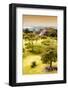 ¡Viva Mexico! Collection - Mayan Temple of Monte Alban with Fall Colors II-Philippe Hugonnard-Framed Photographic Print