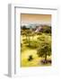 ¡Viva Mexico! Collection - Mayan Temple of Monte Alban with Fall Colors II-Philippe Hugonnard-Framed Photographic Print