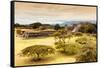 ¡Viva Mexico! Collection - Mayan Temple of Monte Alban with Fall Colors-Philippe Hugonnard-Framed Stretched Canvas