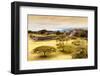 ¡Viva Mexico! Collection - Mayan Temple of Monte Alban with Fall Colors-Philippe Hugonnard-Framed Photographic Print