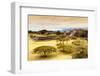 ¡Viva Mexico! Collection - Mayan Temple of Monte Alban with Fall Colors-Philippe Hugonnard-Framed Photographic Print