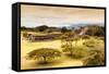 ¡Viva Mexico! Collection - Mayan Temple of Monte Alban with Fall Colors-Philippe Hugonnard-Framed Stretched Canvas