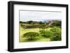 ¡Viva Mexico! Collection - Mayan Temple of Monte Alban-Philippe Hugonnard-Framed Photographic Print