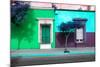 ¡Viva Mexico! Collection - Mexican Colorful Facades II-Philippe Hugonnard-Mounted Photographic Print