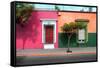 ¡Viva Mexico! Collection - Mexican Colorful Facades III-Philippe Hugonnard-Framed Stretched Canvas