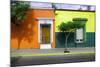 ¡Viva Mexico! Collection - Mexican Colorful Facades V-Philippe Hugonnard-Mounted Photographic Print