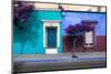 ¡Viva Mexico! Collection - Mexican Colorful Facades VI-Philippe Hugonnard-Mounted Photographic Print