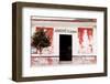 ¡Viva Mexico! Collection - Mexican Supermarket II-Philippe Hugonnard-Framed Photographic Print