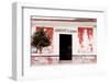 ¡Viva Mexico! Collection - Mexican Supermarket II-Philippe Hugonnard-Framed Photographic Print