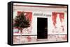 ¡Viva Mexico! Collection - Mexican Supermarket II-Philippe Hugonnard-Framed Stretched Canvas