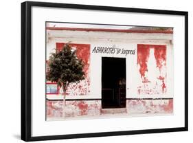 ¡Viva Mexico! Collection - Mexican Supermarket II-Philippe Hugonnard-Framed Photographic Print