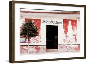 ¡Viva Mexico! Collection - Mexican Supermarket II-Philippe Hugonnard-Framed Photographic Print