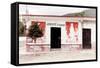 ¡Viva Mexico! Collection - Mexican Supermarket-Philippe Hugonnard-Framed Stretched Canvas