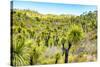 ¡Viva Mexico! Collection - Mexican Vegetation II-Philippe Hugonnard-Stretched Canvas