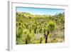 ¡Viva Mexico! Collection - Mexican Vegetation II-Philippe Hugonnard-Framed Photographic Print