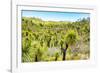 ¡Viva Mexico! Collection - Mexican Vegetation II-Philippe Hugonnard-Framed Photographic Print