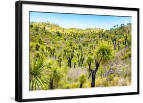 ¡Viva Mexico! Collection - Mexican Vegetation II-Philippe Hugonnard-Framed Photographic Print