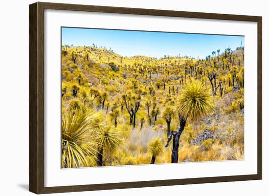 ¡Viva Mexico! Collection - Mexican Vegetation III-Philippe Hugonnard-Framed Photographic Print