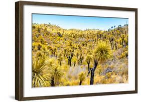 ¡Viva Mexico! Collection - Mexican Vegetation III-Philippe Hugonnard-Framed Photographic Print