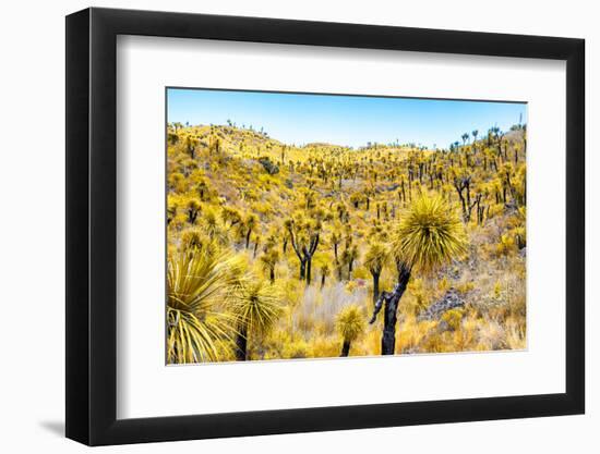 ¡Viva Mexico! Collection - Mexican Vegetation III-Philippe Hugonnard-Framed Photographic Print