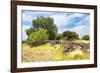 ¡Viva Mexico! Collection - Mexican Vegetation-Philippe Hugonnard-Framed Photographic Print