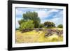 ¡Viva Mexico! Collection - Mexican Vegetation-Philippe Hugonnard-Framed Photographic Print