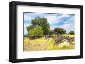 ¡Viva Mexico! Collection - Mexican Vegetation-Philippe Hugonnard-Framed Photographic Print