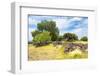 ¡Viva Mexico! Collection - Mexican Vegetation-Philippe Hugonnard-Framed Photographic Print