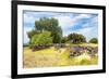 ¡Viva Mexico! Collection - Mexican Vegetation-Philippe Hugonnard-Framed Photographic Print