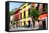 ¡Viva Mexico! Collection - Mexico City Colorful Facades-Philippe Hugonnard-Framed Stretched Canvas