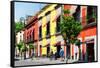 ¡Viva Mexico! Collection - Mexico City Colorful Facades-Philippe Hugonnard-Framed Stretched Canvas