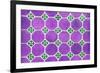 ¡Viva Mexico! Collection - Mosaics Purple Bricks-Philippe Hugonnard-Framed Photographic Print