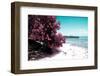 ¡Viva Mexico! Collection - Peaceful Paradise II - Isla Mujeres-Philippe Hugonnard-Framed Photographic Print