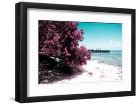 ¡Viva Mexico! Collection - Peaceful Paradise II - Isla Mujeres-Philippe Hugonnard-Framed Photographic Print