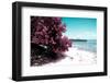 ¡Viva Mexico! Collection - Peaceful Paradise II - Isla Mujeres-Philippe Hugonnard-Framed Photographic Print
